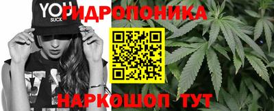 spice Усть-Джегута