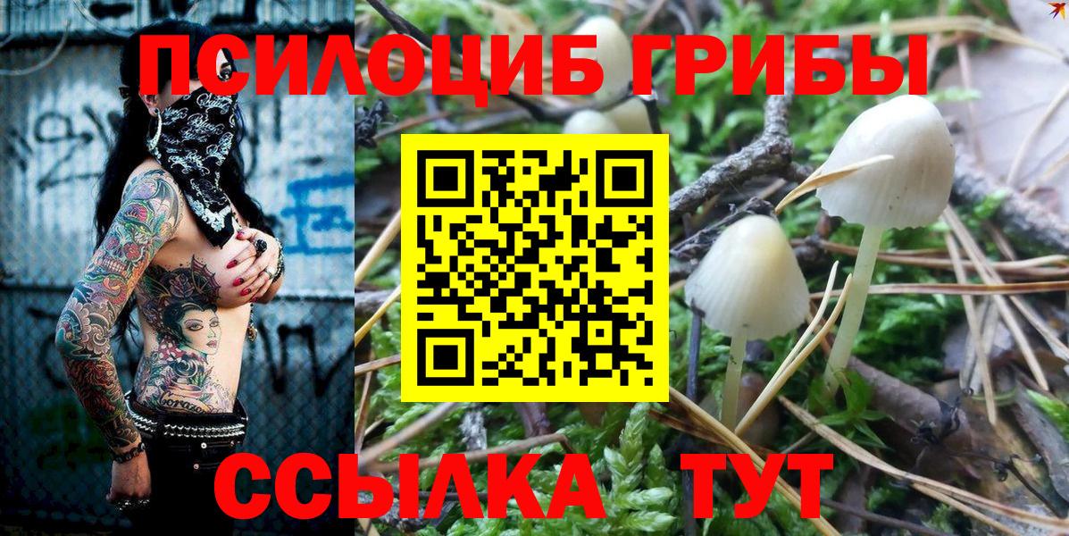 Галлюциногенные грибы мухоморы Архангельск
