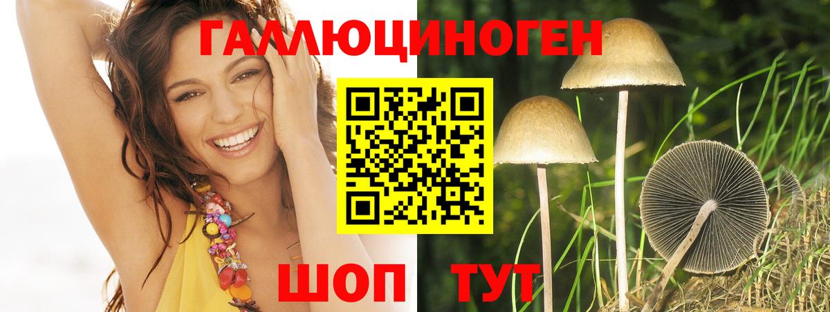 купить  сайты  Архангельск  Галлюциногенные грибы ЛСД 